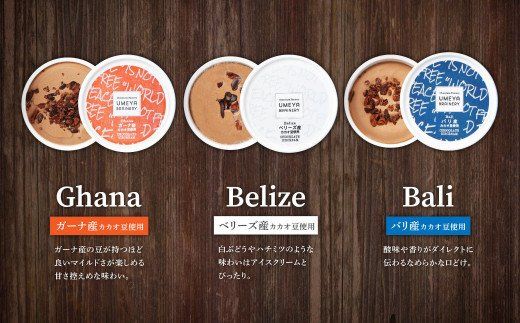 Bean to Bar Icecream (産地別チョコレートアイス ６個入り)【ＵＭＥＹＡＢＲＡＩＮＥＲＹ】_HA0583