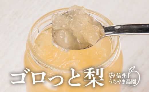 ゴロっと梨ジャム（和梨） 計4本（大瓶410ｇ×2本　小瓶200ｇ×2本）《信州うちやま農園》