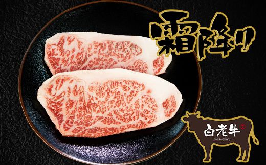 いわさきファーム白老牛　特選ギフト「Ａ」セット AB010 