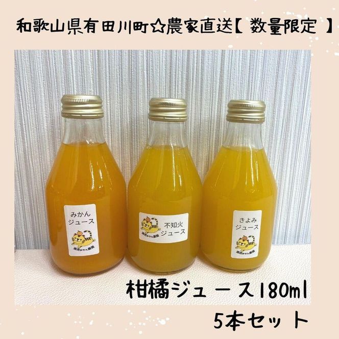 数量限定 有田みかんの産地から届く 果汁100％！ 搾りたての柑橘ジュース 180ml×5本  DB003