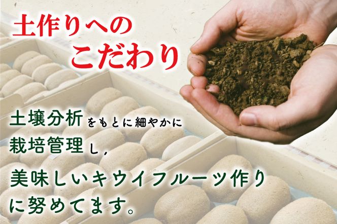 【先行予約】香緑21～27玉入り【春日部市】大晴農園のキウイフルーツ（BY002-1）