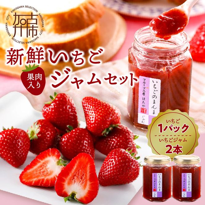 yɌÐsz͂̐VNʓW̃Zbg[12{菇]s ӂ邳Ɣ[ł C`S  t[cH[͂  t[c W  ty2401C09702z