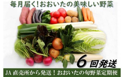毎月お届け!おおいたの旬野菜4月から半年間定期便/計6回発送_1775R
