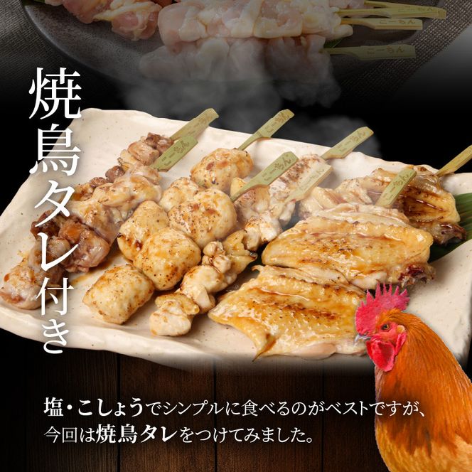 名古屋コーチン焼き鳥セット(モモ・ムネ・手羽中・つくね)(20本入り)[001T02]