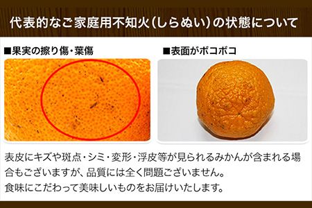 清田農園のご家庭用不知火10玉-16玉(L-2Lサイズ) あのデコポンと同品種 熊本県玉名郡玉東町《3月上旬-3月末頃出荷》---sg_kytsrn_ac3_24_12000_10p---