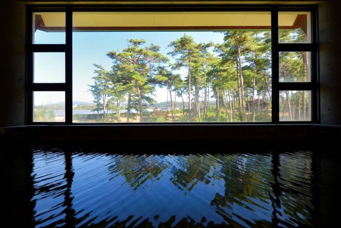 宿泊券 ペア 1泊2日 お食事なし [ホテルウェルネス能登路 石川県 宝達志水町 38600906] ホテル 温泉 旅行 旅 旅行券 素泊まり