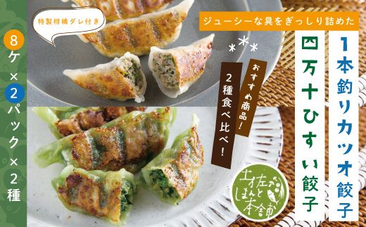 家(うち)に来る“高知" ジューシーな具をぎっしり詰めた手づくり!! 四万十ひすい餃子・一本釣りかつお餃子(8ヶ×2パック×2種) タレ付き にんにく不使用!