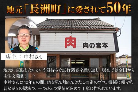 馬肉入り手作りハンバーグ(約150g×9個)　肉の宮本《45日以内に出荷予定(土日祝除く)》---sn_fmiyahamburg_45d_r7_11000_9i---