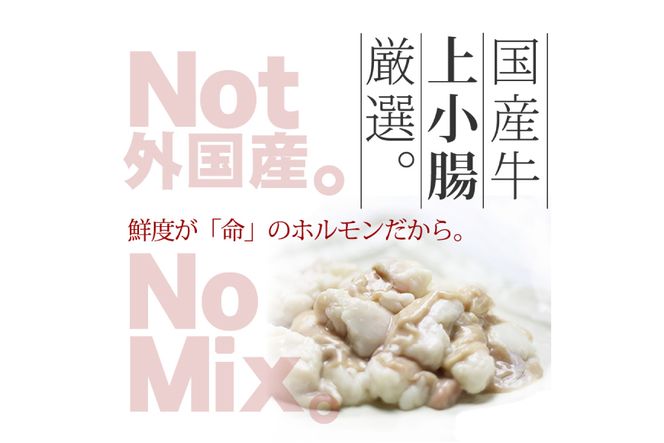 九州醤油もつ鍋 牛もつ 1.05kg 10人前 (九州醤油スープ付) [ベネフィス 福岡県 筑紫野市 21760846] もつ鍋 モツ鍋 もつ モツ しょうゆ 醤油 博多 福岡 国産 国産牛 ホルモン セット 本場 冷凍