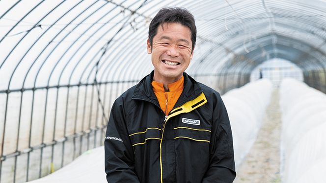 【 先行予約 2026年7月上旬発送】 八千代町産 小玉スイカ 姫甘泉 1箱 （3～6玉入り） すいか スイカ 西瓜 小玉 果物 フルーツ お取り寄せ 産地直送 茨城県 [AV002ya]