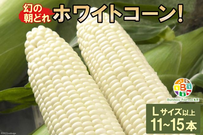y茧szBF114 10{oׁIu̒ǂzCgR[IvLTCYȏ×11`15{ZbgySIɂHGoׁz