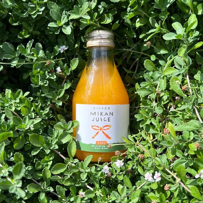 ya̎RLc쒬zʎ ݂W[X 180ml×30{ ͔|̖Yyʌz BT43