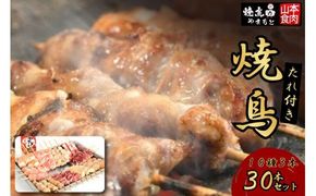 焼き鳥 焼鳥たれ付き10種3本(30本セット) [山本食肉 山梨県 韮崎市 20742068] やきとり 焼鳥 セット 鶏肉 冷凍 小分け 食べ比べ バーベキュー BBQ 惣菜 串 おかず おつまみ 国産 ねぎま もも つくね 砂肝