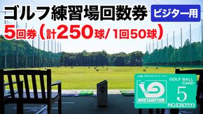 ゴルフ練習場回数券 5回券（250球） ビジター用 イベントやチケット ゴルフ場利用券 打ちっぱなし 回数券 アウトドア ビジター [CD004ya]