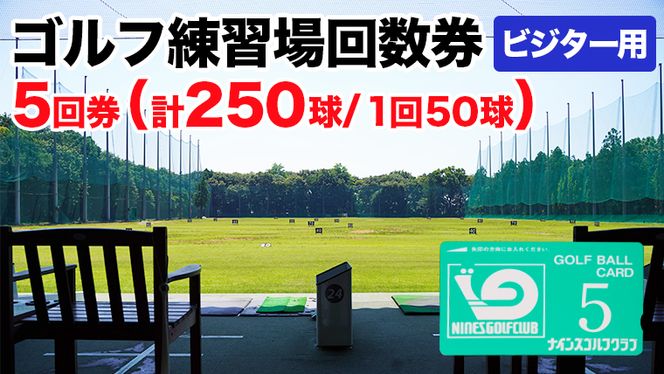 ゴルフ練習場回数券 5回券（250球） ビジター用 イベントやチケット ゴルフ場利用券 打ちっぱなし 回数券 アウトドア ビジター [CD004ya]