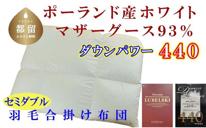 yRsszCK384 Hэ|zc|[hY}U[O[XXR | Z~_u170×210cm dp440