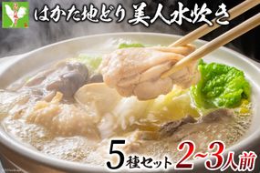 はかた地どり 美人水炊きセット 鶏肉2種 スープ 麺 コラーゲン 計5種 2～3人前 [MEAT PLUS 福岡県 筑紫野市 21760711] 水炊き セット 鶏 鶏肉 とり肉 鶏団子 福岡 博多 国産