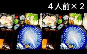 AD144 活とらふぐ刺・鍋てっちりセット４人前×２【ふぐ フグ 河豚 テッチリ てっさ 鍋 刺身 刺し身 さしみ 新鮮 送料無料 北海道・沖縄配送可】