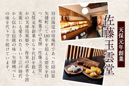 花柚子・柚子ようかん詰め合わせ 佐藤玉雲堂 岡山県矢掛町 柚子 ようかん 和菓子 スイーツ デザート《30日以内に出荷予定(土日祝除く)》---osy_satohnyzyo_30d_24_12500_2i---