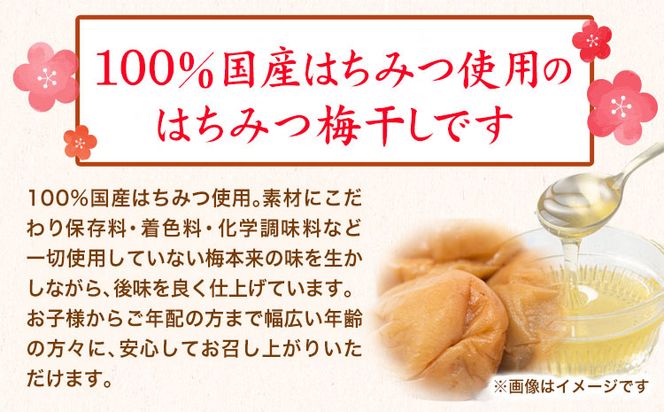 梅干し 紀州南高梅 使用 はちみつ うす塩味 完熟梅干し 無選別 1kg 《30日以内に出荷予定(土日祝除く)》日高町厳選館 和歌山県 日高町 梅干 梅 紀州 南高梅 はちみつ 蜂蜜 おかず 送料無料---wsh_genmhum_90d_22_13000_1kg---