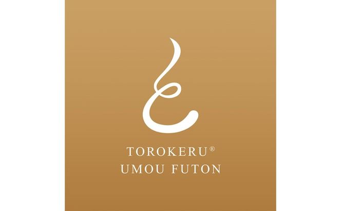 GS033とろける羽毛ふとん[セミダブル]ふとん専用カバー／プラチナ
