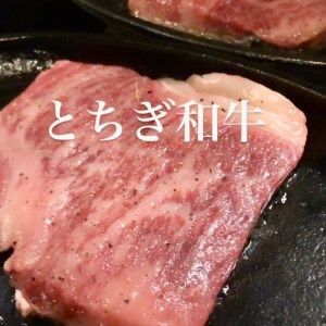 [あおい亭四季] お食事券 (寄附額1万2千円コース)｜矢板市 栃木県 ランチ ディナー 旅行 観光 チケット グルメ お祝い デート 記念日  