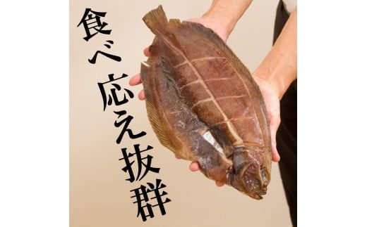 旨味凝縮！ナメタガレイの一夜干し 5枚セット 食べやすいカット入り ( 一夜干し 干物 セット 簡単 夕食 北海道 時短 カレイ おつまみ おかず )【094-0004】