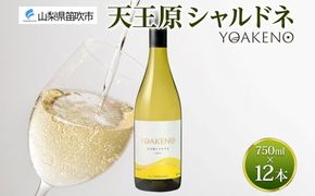 《無地熨斗 対応可》YOAKENO 天王原シャルドネ 750ml×12本 177-4-081