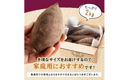 宮崎県産さつまいも　ミネラル栽培「紅はるか」2kg 【 宮崎県産 九州産 いも 芋 サツマイモ 野菜 】[E10402]