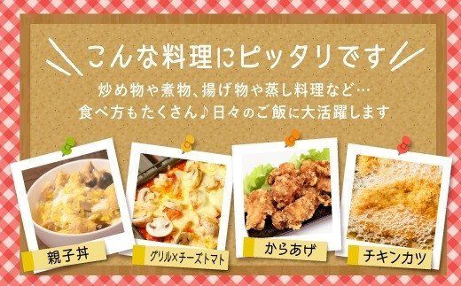 3000g 佐賀県産有明鶏｢モモ｣ (500g×6パック)B-1084