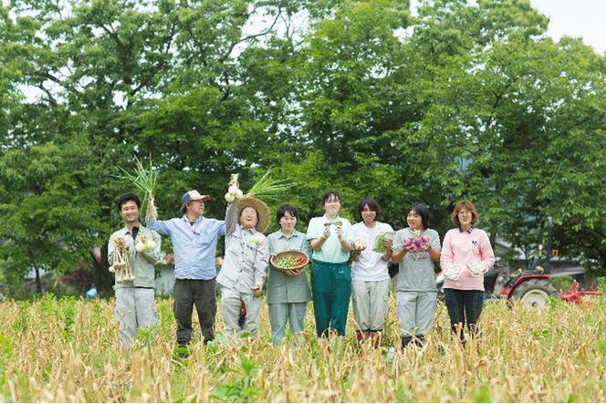 ひなたぼっこ園セット [No.383]