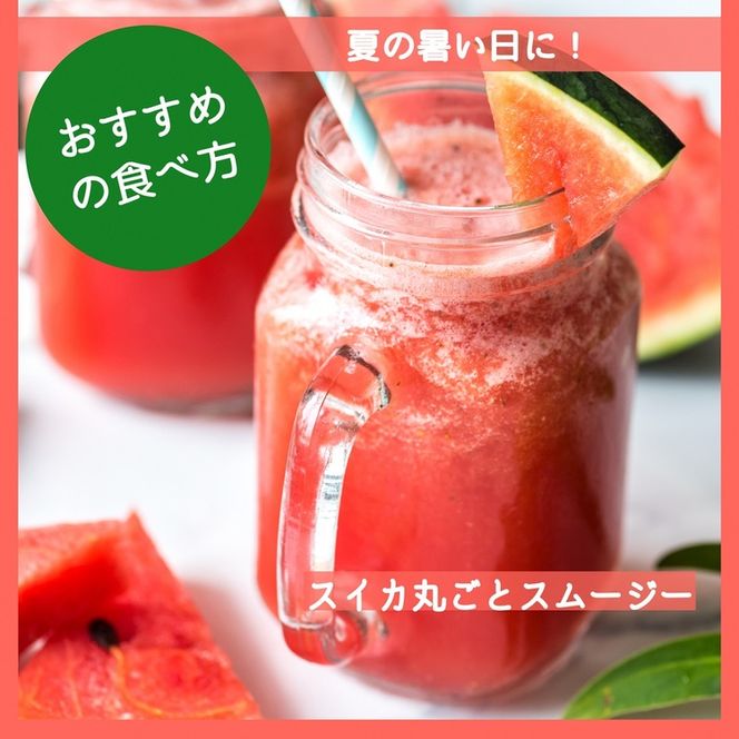 【2026年産 予約】すいか 1玉 京都府・亀岡産 自然栽培のかたもとオーガニックファームよりお届け ※2026年8月頃より順次発送予定 ※離島への発送不可