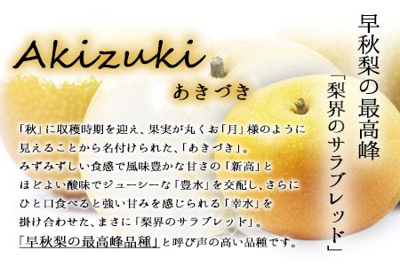 【先行予約】作村果樹園のあきづき梨 約5kg(9～13玉前後) 熊本県氷川町産 作村果樹園《8月下旬-9月末頃出荷》梨 なし---sh_csakuaki_bc8_26_17500_5kg---