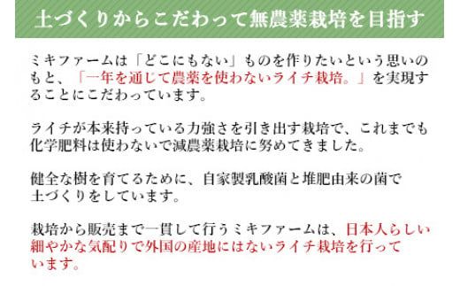 ＜宮崎県産 生ライチ 大粒12個入り＞ 2025年7月上旬～7月下旬迄に順次出荷【c643_mk_x5】