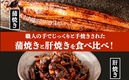 千歳鰻の蒲焼１尾・蒲焼のタレ・焼肝セット【CH179】
