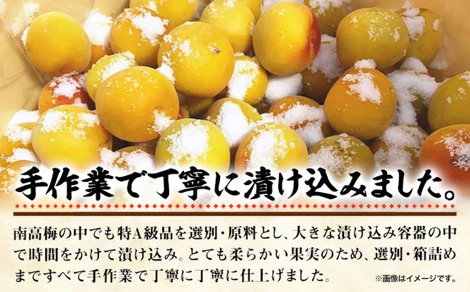 梅干し 甘口田舎梅干し 1kg 選べる 中玉 2L 大玉 3L 和歌山県産 株式会社とち亀物産 《30日以内に出荷予定(土日祝除く)》 和歌山県 日高町 梅 うめ 梅干し うめぼし 紀州南高梅 漬け物 漬物 ごはんのお供---wsh_ttk4_30d_23_15000_a2l---