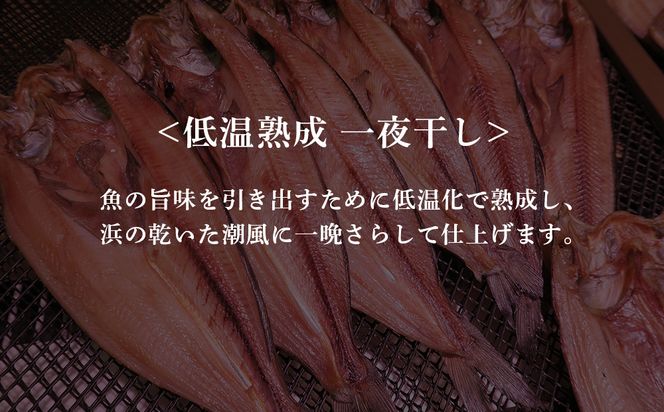 2ヶ月に1度 定期便 全3回 低温熟成 一夜干し お楽しみ 詰め合わせ AA028