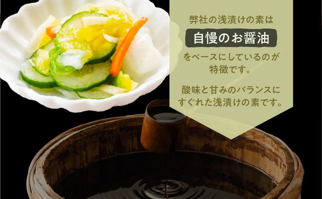 【5営業日以内に発送】ヒシク藤安醸造　浅漬けの素　つけやったもんせ　500ml×6本セット　K026-013