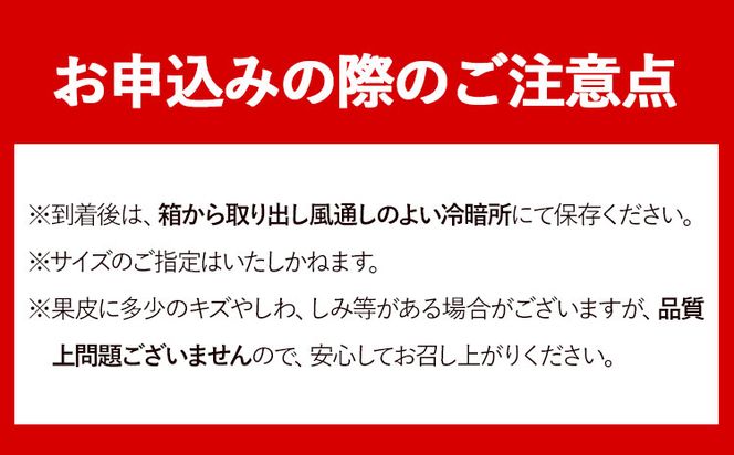 とにかくジューシー 清見 オレンジ 5kg 株式会社魚鶴商店《2025年3月上旬-4月上旬頃より出荷予定》和歌山県 日高町 柑橘 果物 フルーツ 清見オレンジ---wsh_uot32_ad34_24_14000_5kg---