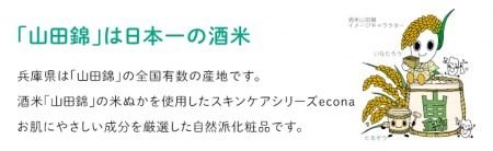 "econaスキンケア"2種類の洗顔料・ネット・化粧水セット