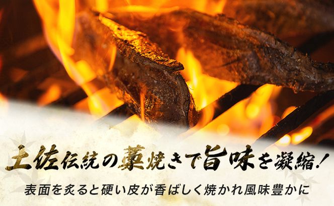 完全100％わら焼き かつおのたたき 2節セット 10000円 1万円 2本 計600ｇ～800g (塩・タレ付き) カツオのたたき 鰹 カツオ たたき 海鮮 冷凍 送料無料　md001