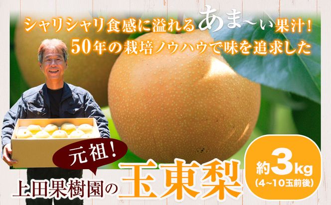 上田果樹園の元祖！玉東梨(旬の品種をお届けします)約3kg(4玉-10玉)  《7月下旬-9月下旬頃出荷》 熊本県玉名郡玉東町 なし 果物 スイーツ デザート---sg_cuednasi_p79_r8_12000_3kg---