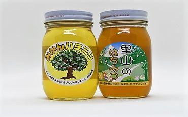 ありだみかん蜂蜜・ありだ里山の蜂蜜（各570ｇ） BC02