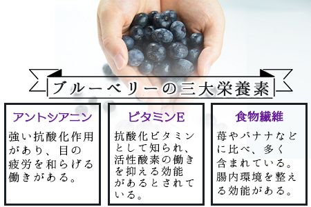 ＜冷凍ブルーベリー(500g×2袋)＞翌月末迄に順次出荷【b0135_ye】
