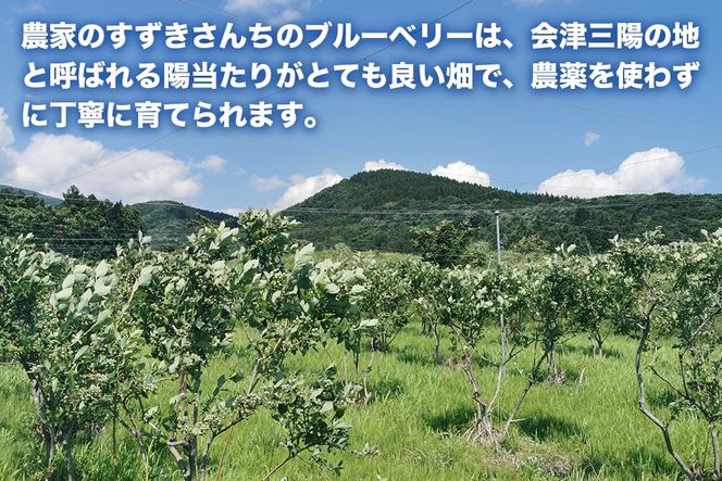 冷凍ブルーベリー 1kg 直径13mm以上
