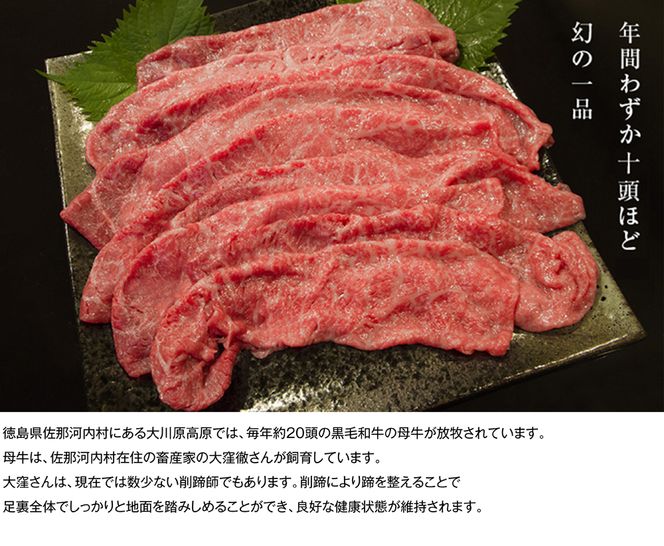 【CF】大川原高原牛  特選ロースしゃぶしゃぶ　500g《30日以内に出荷予定(土日祝除く)》---sanagouchi_nfw_8_500g---