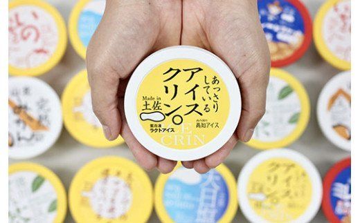 高知アイス定期便（6か月）