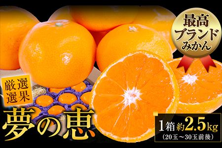 夢の恵 みかん 約2.5kg(20玉〜30玉前後) 熊本県産 (長洲町産含む) 糖度12度以上 ブランドみかん ブランド 贈答用 贈り物[2026年1月中旬-2月末頃出荷] 熊本県 長洲町---ng_yumemi_af11_r7_8000_2kg---