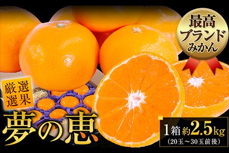 夢の恵 みかん 約2.5kg(20玉〜30玉前後) 熊本県産 (長洲町産含む) 糖度12度以上 ブランドみかん ブランド 贈答用 贈り物[11月中旬-12月下旬頃出荷] 熊本県 長洲町---ng_yumemi_k11_24_9000_2kg---