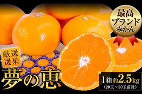 夢の恵 みかん 約2.5kg(20玉～30玉前後) 熊本県産 （長洲町産含む） 糖度12度以上 ブランドみかん ブランド 贈答用 贈り物《11月中旬-12月下旬頃出荷》 熊本県 長洲町---ng_yumemi_k11_24_9000_2kg---